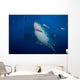 Great White Shark and Wall Decal Design 1