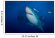 Great White Shark and Wall Decal Design 1