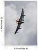 German Eurofighter with Full Wall Decal
