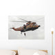 German Ws-1 Sea King Wall Decal