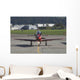 Pilatus Pc-21 Trainer Swiss Wall Decal Design 2