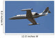 United States Air Forces Wall Decal