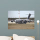 C-17a Globemaster Ramstein Air Wall Decal