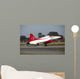 F-5 Jet Turkish Stars Wall Decal Design 2