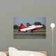 F-5 Jet Turkish Stars Wall Decal Design 2