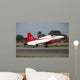 F-5 Jet Turkish Stars Wall Decal Design 2