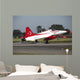 F-5 Jet Turkish Stars Wall Decal Design 2