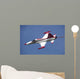 F-5 Jet Turkish Stars Wall Decal Design 1
