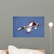 F-5 Jet Turkish Stars Wall Decal Design 1