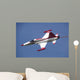 F-5 Jet Turkish Stars Wall Decal Design 1