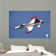 F-5 Jet Turkish Stars Wall Decal Design 1