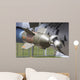 Gbu-24 Laser-guided Bomb F-16 Wall Decal