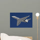 C-20 Gulfstream Jet Flight Wall Decal