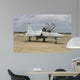 F-5 Tiger Ii Used Wall Decal