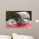 Close-up Cockpit Italian Air Wall Decal