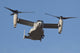Mv-22b Osprey Prepares for Wall Decal Design 2