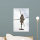 Us Navy Mh-60r Seahawk Wall Decal