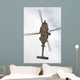 Us Navy Mh-60r Seahawk Wall Decal