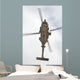 Us Navy Mh-60r Seahawk Wall Decal