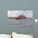 Ws-61 Sea King Helicopter Wall Decal