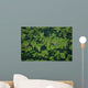 Usa Florida Swamp Ecosystemwild Wall Mural
