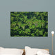 Usa Florida Swamp Ecosystemwild Wall Mural