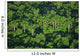 Usa Florida Swamp Ecosystemwild Wall Mural