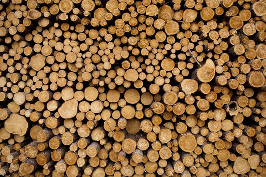 Log Pile Sawmill Gulliver Wall Mural