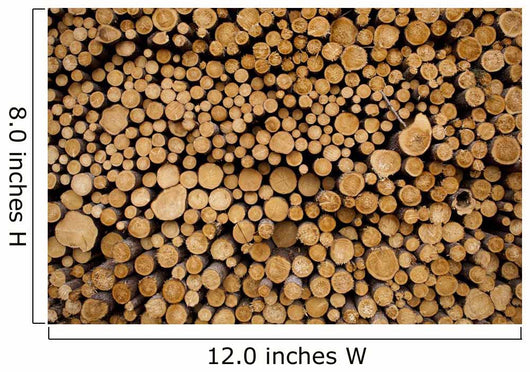 Log Pile Sawmill Gulliver Wall Mural