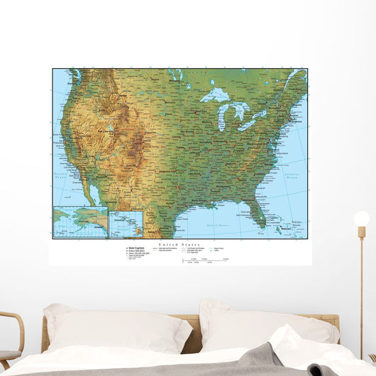 United States of America Terrain Map Wall Mural