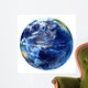 3D Rendering Planet Earth Wall Decal Design 5