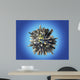 Planet Earth Covered Huge Wall Decal