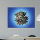 Planet Earth Covered Huge Wall Decal