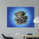 Planet Earth Covered Huge Wall Decal