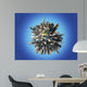 Planet Earth Covered Huge Wall Decal