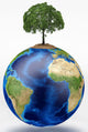 Planet Earth with Tree Wall Decal Design 1