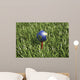 3D Rendering Earth Golf Wall Decal