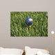 3D Rendering Earth Golf Wall Decal