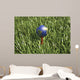 3D Rendering Earth Golf Wall Decal