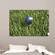 3D Rendering Earth Golf Wall Decal