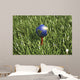 3D Rendering Earth Golf Wall Decal