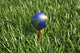 3D Rendering Earth Golf Wall Decal