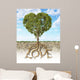 Cross Section Soil Wall Decal