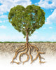 Cross Section Soil Wall Decal