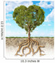 Cross Section Soil Wall Decal