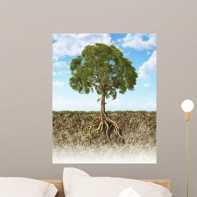 Cross Section Soil Showing Wall Decal shown on a wall
