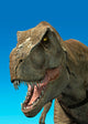 3D Rendering Tyrannosaurus Rex Wall Decal Design 2