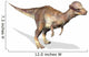 3D Rendering Pachycephalosaurus Dinosaur Wall Decal