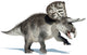 3D Rendering Zuniceratops Dinosaur Wall Decal