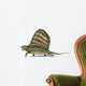 3D Rendering Dimetrodon Dinosaur Wall Decal Design 1